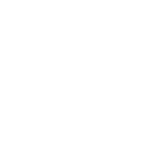 logo_vitruvius